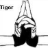 Tigar